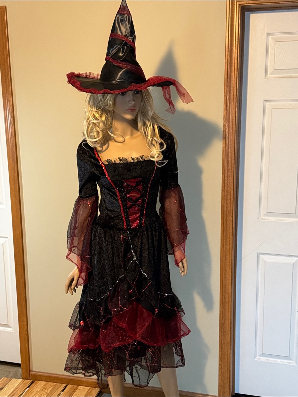 Women's Black and Burgundy Witch Costume Dress with Matching Hat